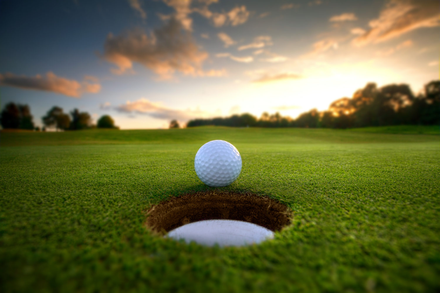 Photo of Annual Robert L Picard Golf Tournament